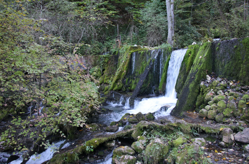 Danas je Međunarodni dan reka, a Srbija ima svoj dragulj za ponos: Vrelo izvire podno Tare FOTO