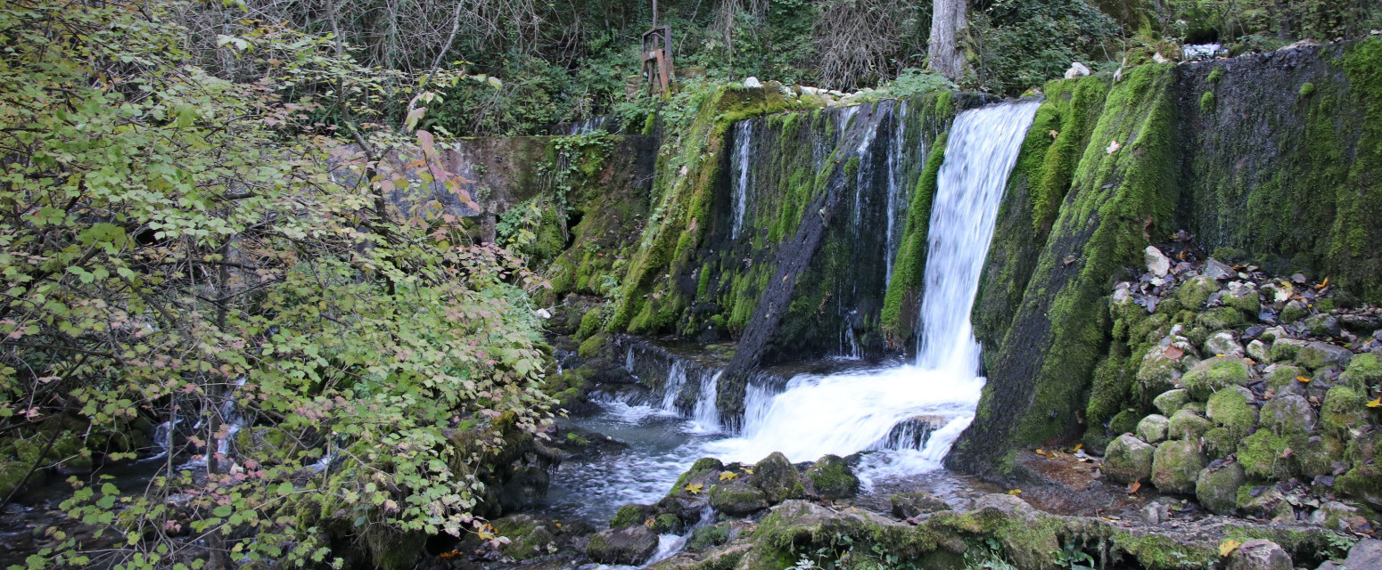 Danas je Međunarodni dan reka, a Srbija ima svoj dragulj za ponos: Vrelo izvire podno Tare FOTO