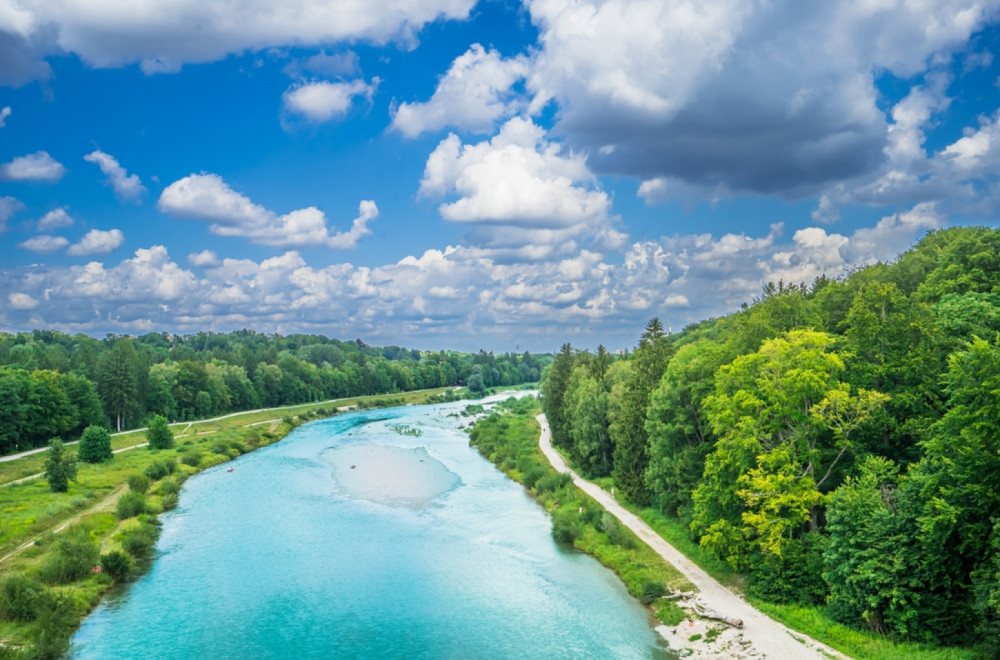 Vedra narav – zdrava krv