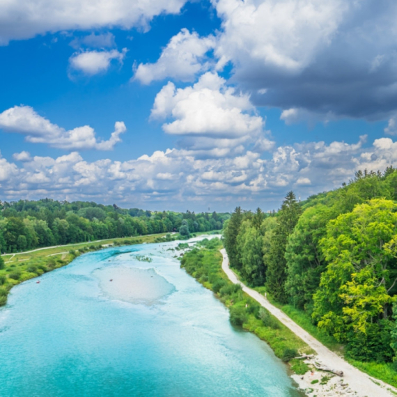 Vedra narav – zdrava krv