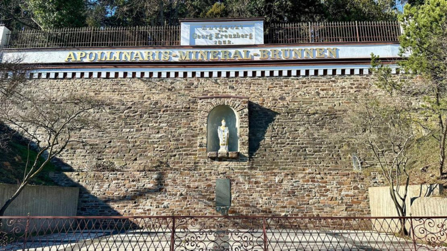 Vedra narav – zdrava krv