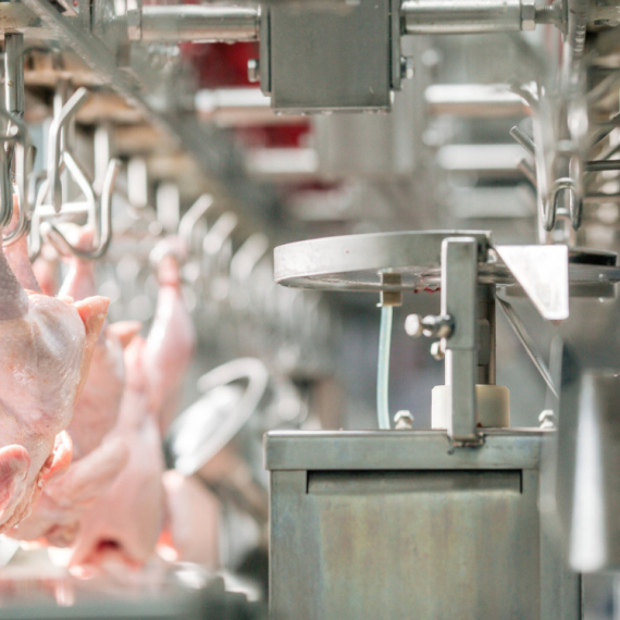 EU zabranila piletinu iz BiH: Milionski udar na industriju