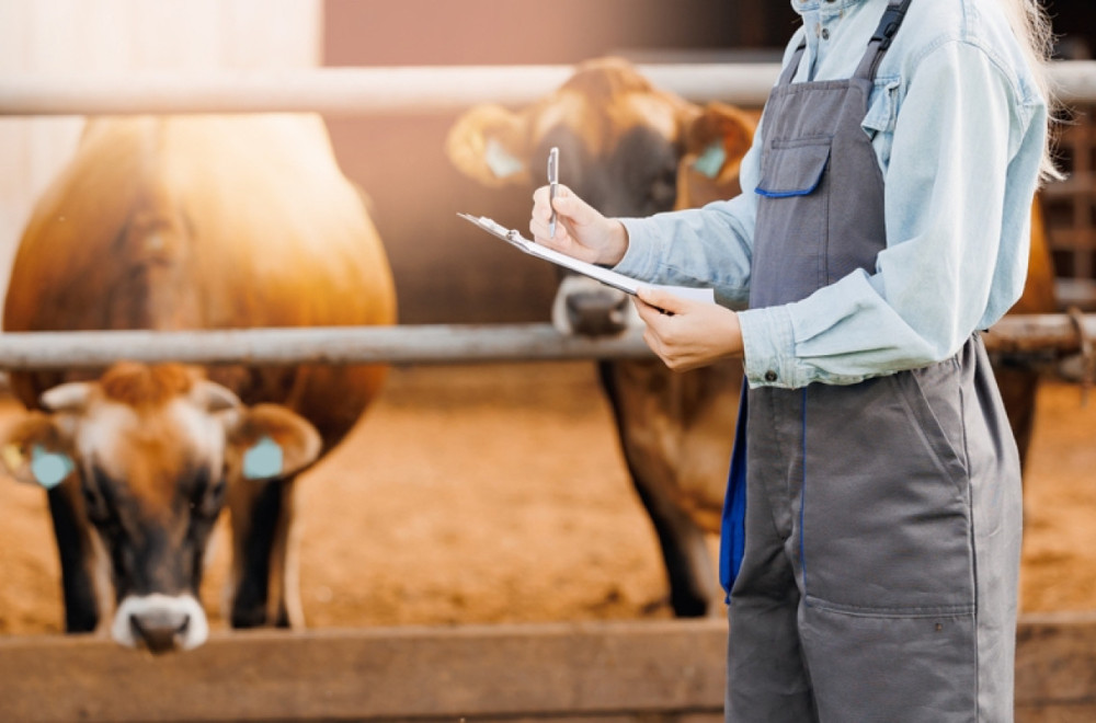 Vredi duplo više od zlata: Za 30 grama ovog otpada daju i 5.000 evra, a kod nas ga bacaju