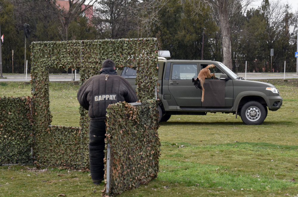 U Nišu u toku obuka pasa za službu u jedinicama Vojske Srbije FOTO