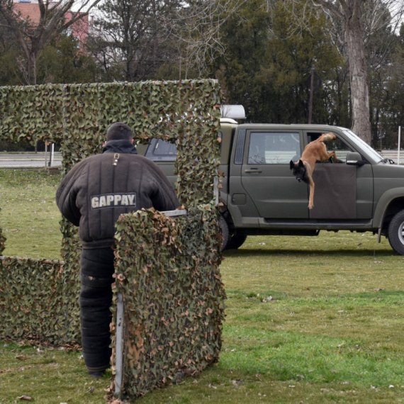 U Nišu u toku obuka pasa za službu u jedinicama Vojske Srbije FOTO