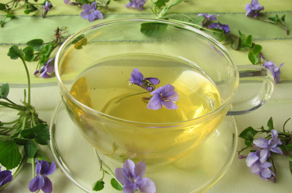 Najbolji lek za respiratorne probleme raste u dvorištu; Upravo mu je počela sezona FOTO