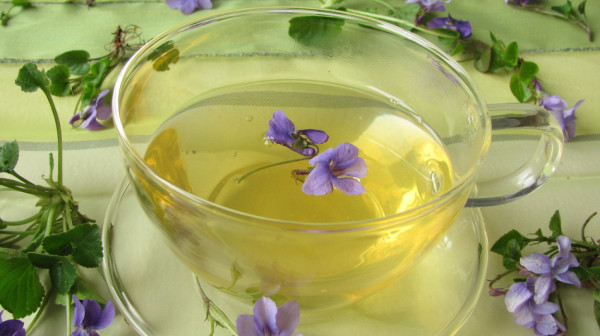 Najbolji lek za respiratorne probleme raste u dvorištu; Upravo mu je počela sezona FOTO