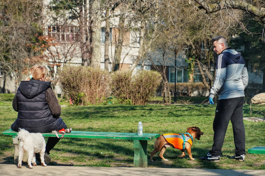Stiže proleće: Tačno u ovo vreme počinje ravnodnevnica