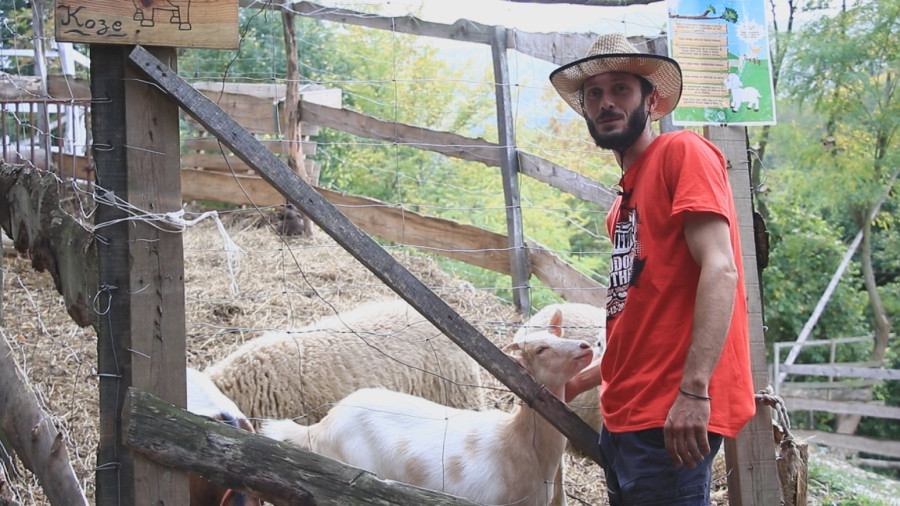 Srpski ranč godišnje poseti na stotine ljudi: Šarena oaza u šumi oduzima dah FOTO