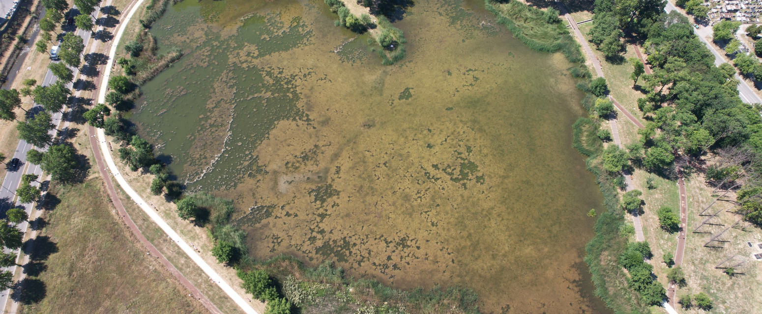 Nesvakidašnje jezero u obliku srca: Prirodni fenomen u srcu Šumadije FOTO