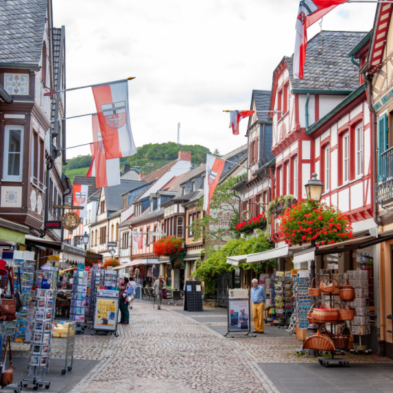 Arvajler –  jedino nemačko vinsko područje u kojem uspeva dobar grozd za crno vino FOTO