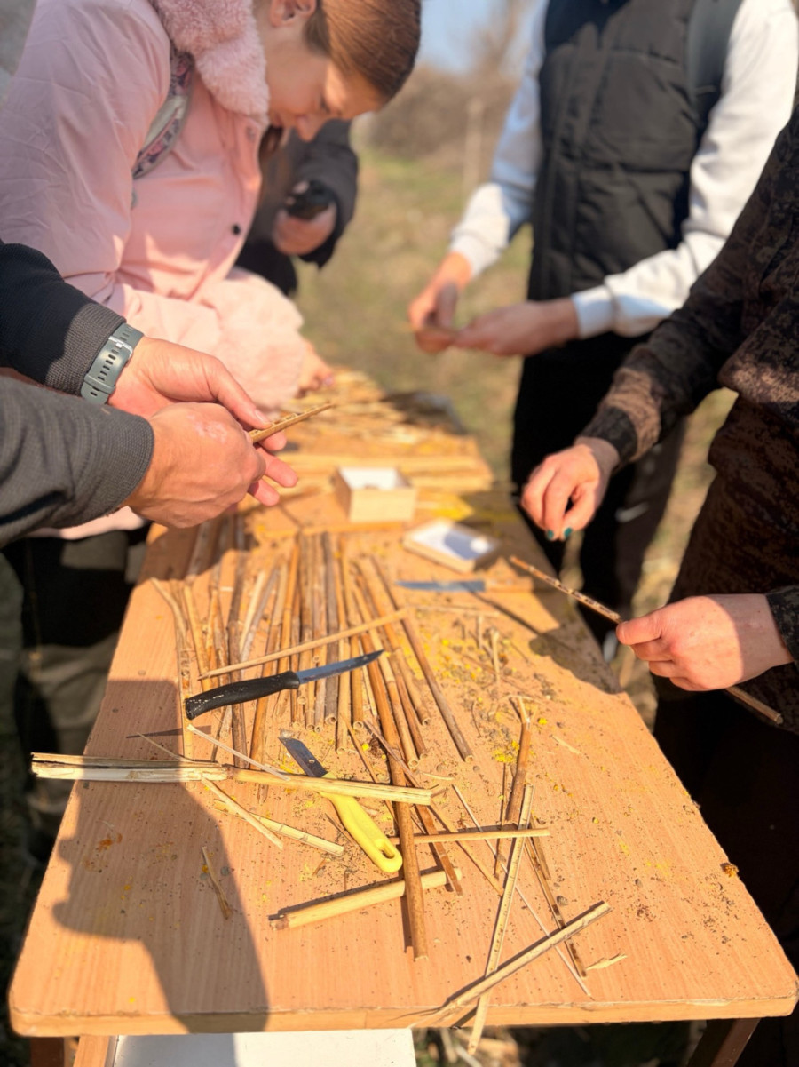 Upoznajte pčele koje ne bodu, a čuvaju nam doručak