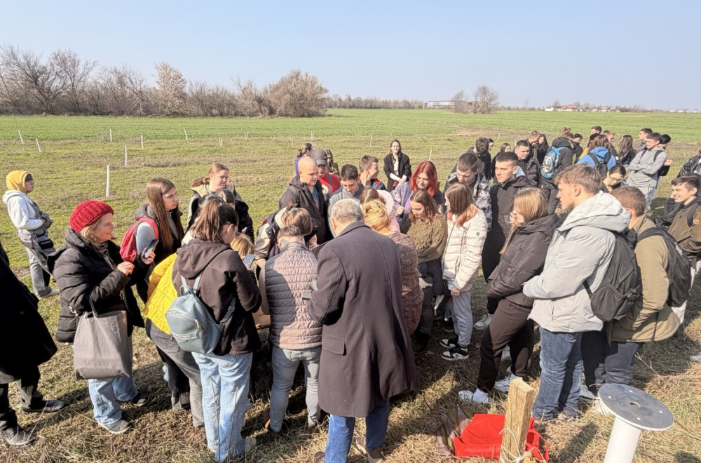 Upoznajte pčele koje ne bodu, a čuvaju nam doručak