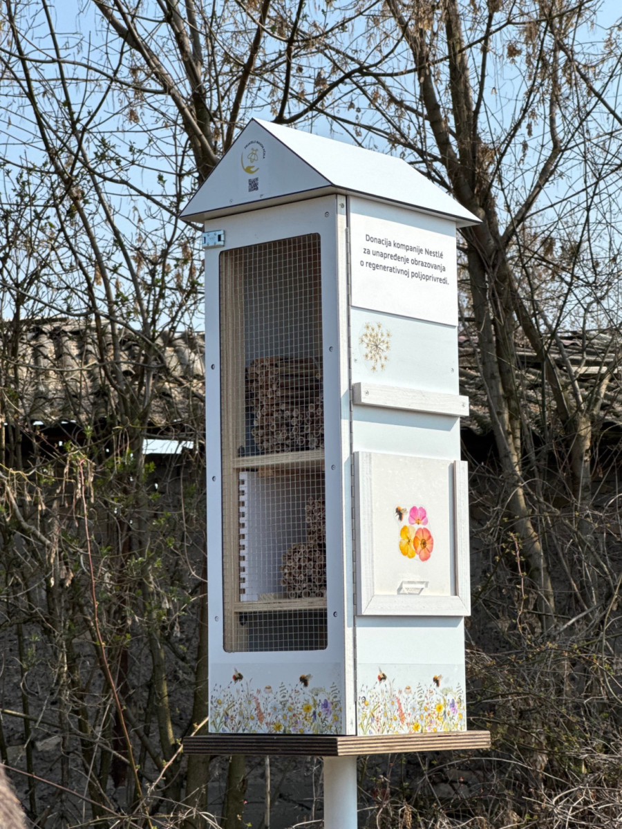 Upoznajte pčele koje ne bodu, a čuvaju nam doručak