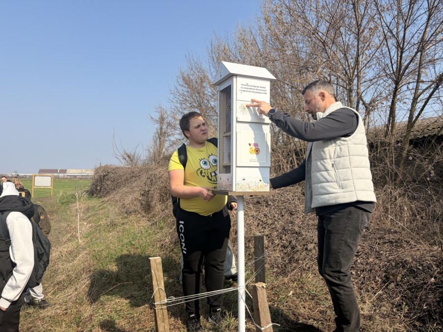 Upoznajte pčele koje ne bodu, a čuvaju nam doručak