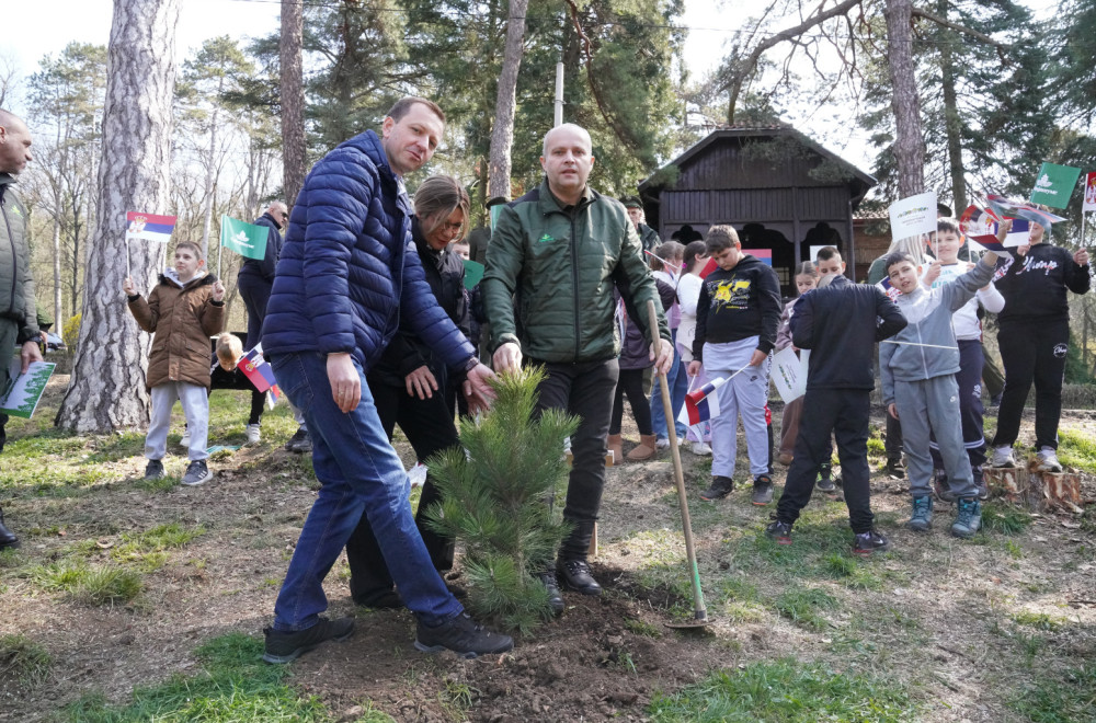 Međunarodni dan šuma obeležen sadnjom 79 sadnica crnog bora na Avali FOTO