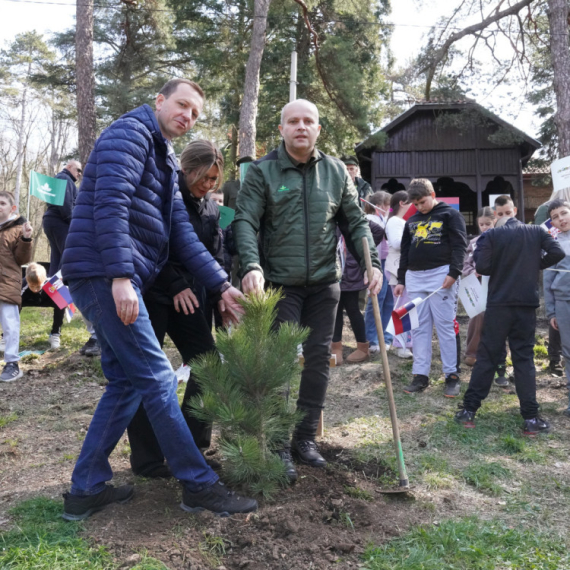 Međunarodni dan šuma obeležen sadnjom 79 sadnica crnog bora na Avali FOTO