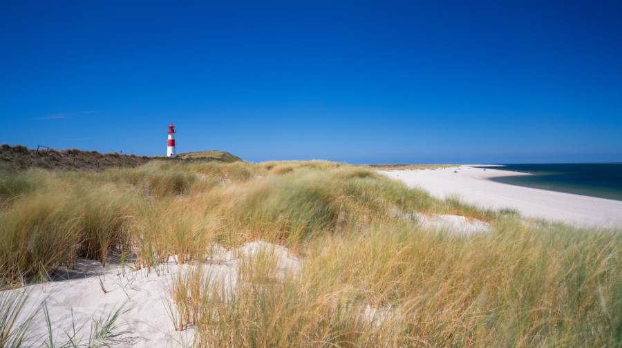 Ovo je evropski Hemptons: Peščana plaža dugačka 40 kilometara sve popularnija FOTO