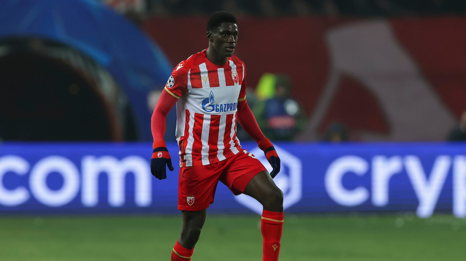 Zvezda i Điga opet zajedno?