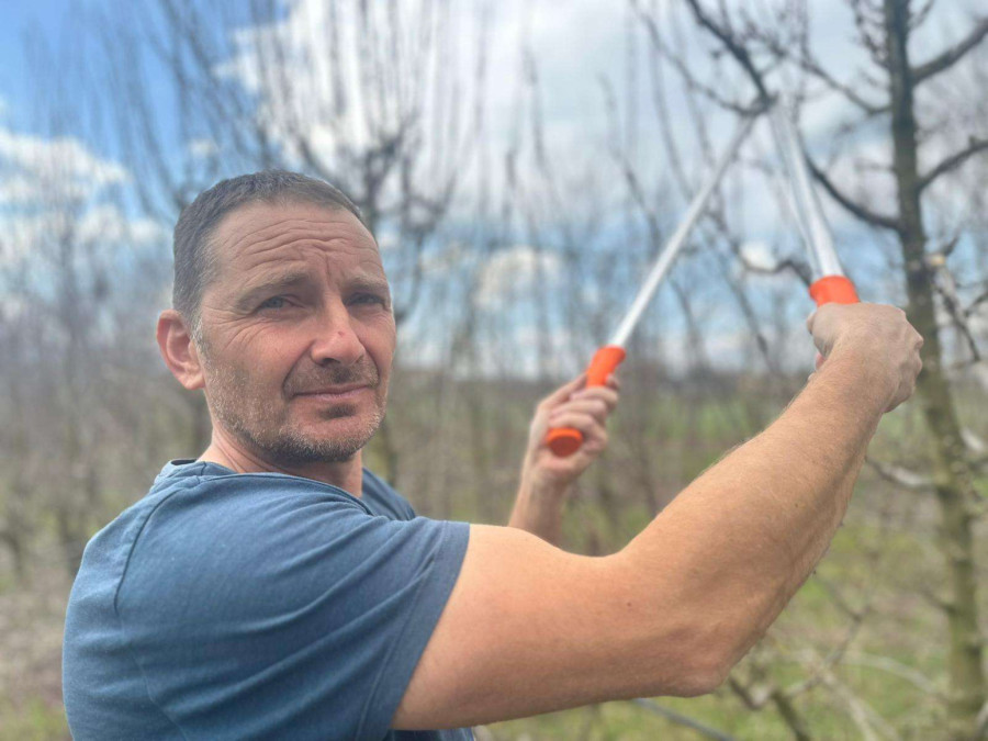 Nema mesta za paniku: Stručnjak sa Instituta za voćarstvo ohrabrio srpske voćare