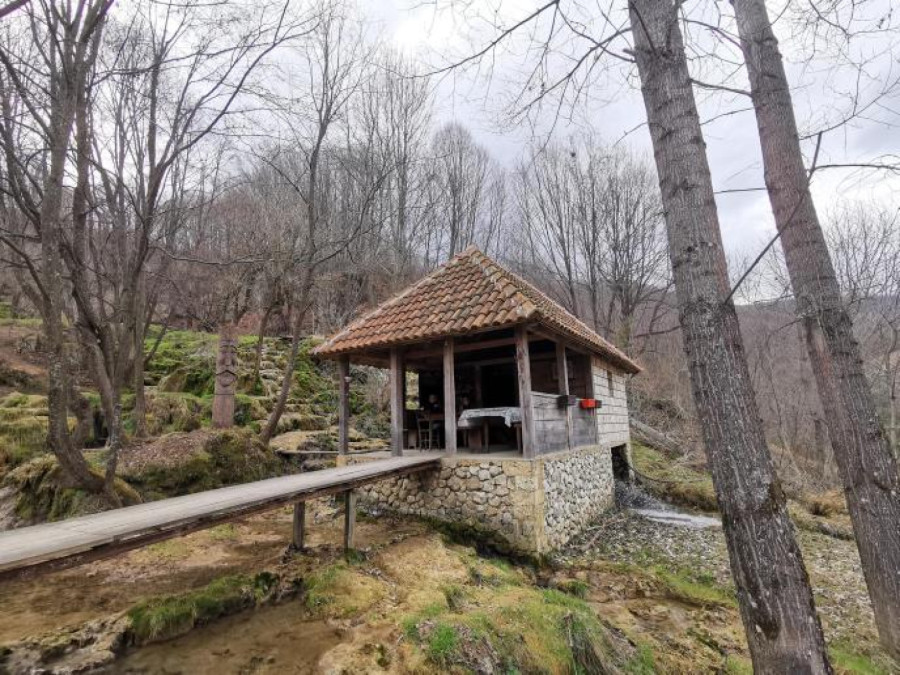 Ovo je srpska prestonica sremuša: Rajski prizori iz sela privlače na hiljade turista FOTO