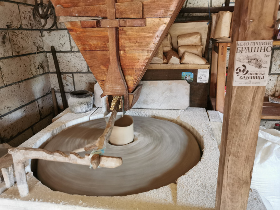 Ovo je srpska prestonica sremuša: Rajski prizori iz sela privlače na hiljade turista FOTO