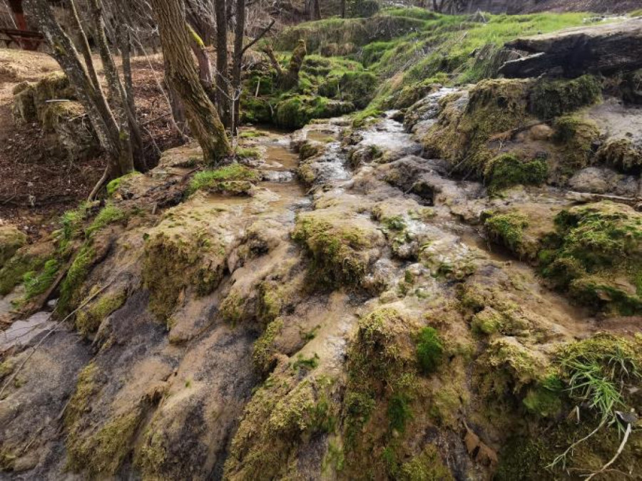 Ovo je srpska prestonica sremuša: Rajski prizori iz sela privlače na hiljade turista FOTO