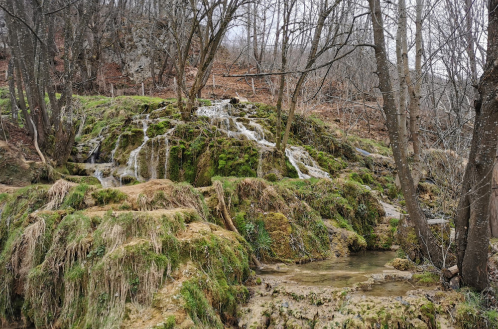Ovo je srpska prestonica sremuša: Rajski prizori iz sela privlače na hiljade turista FOTO