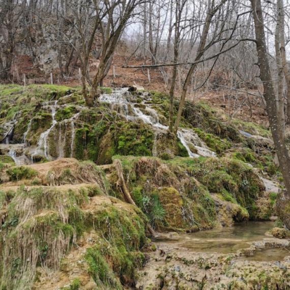 Ovo je srpska prestonica sremuša: Rajski prizori iz sela privlače na hiljade turista FOTO