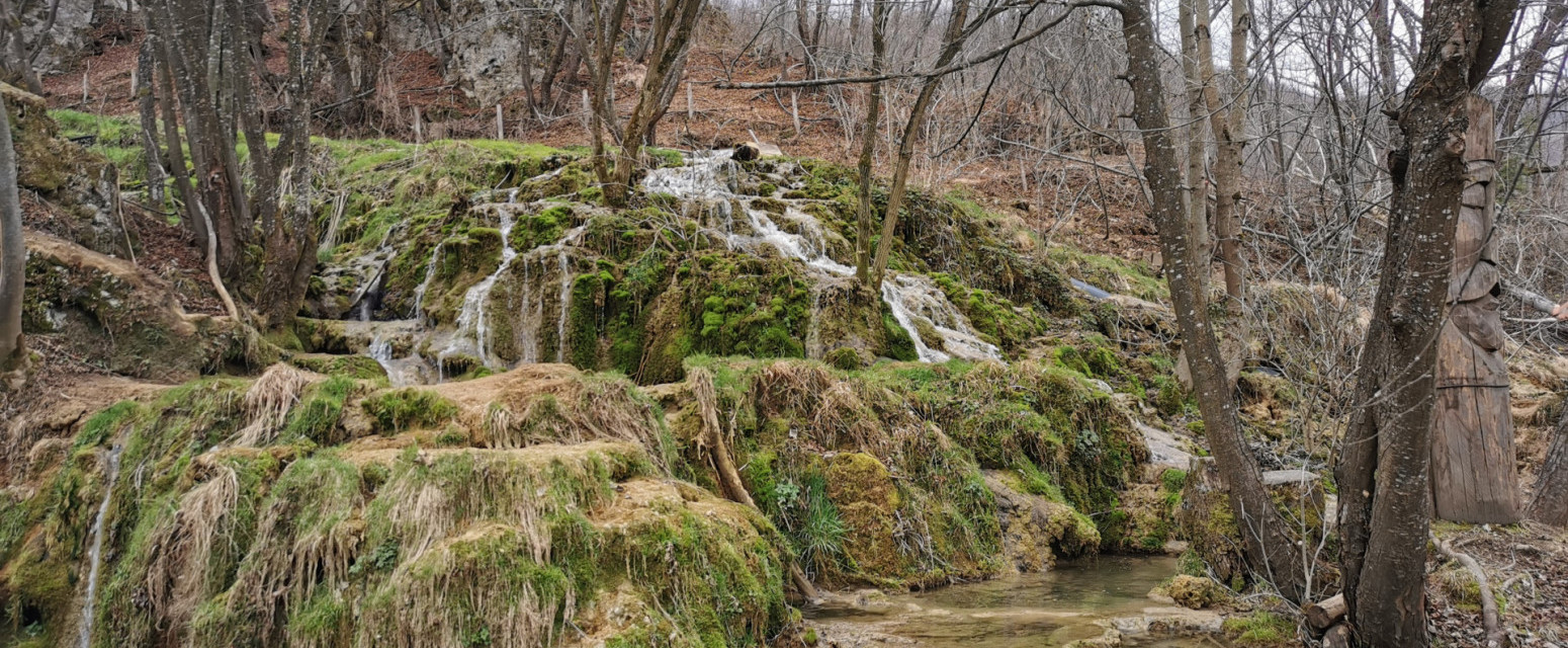 Ovo je srpska prestonica sremuša: Rajski prizori iz sela privlače na hiljade turista FOTO