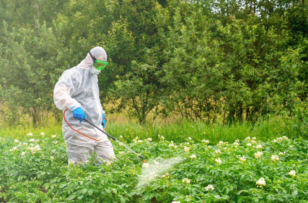 Dečak popio tečnost za prskanje malina i preminuo: Kakve pesticide koristimo i kome su dostpuni? VIDEO