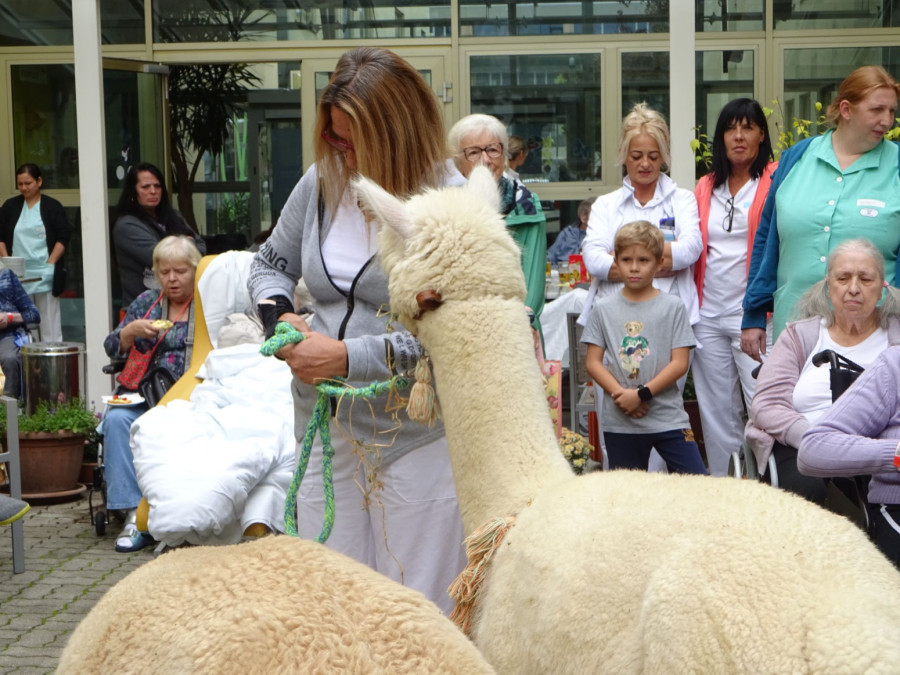 Nova dimenzija lečenja u Beču: Životinje vraćaju osmeh pacijentima FOTO