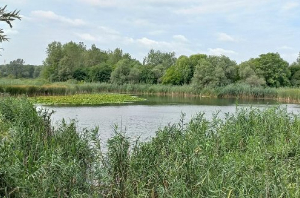 Dva meseca nakon uginuća ptica i riba u Krnjači, razlog još uvek nepoznat