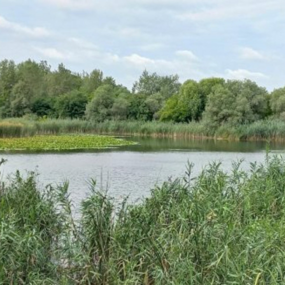 Dva meseca nakon uginuća ptica i riba u Krnjači, razlog još uvek nepoznat