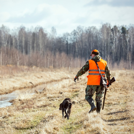 Od 1 do 150.000 dinara: Ovo su cene odstrela zaštićenih divljači u Srbiji