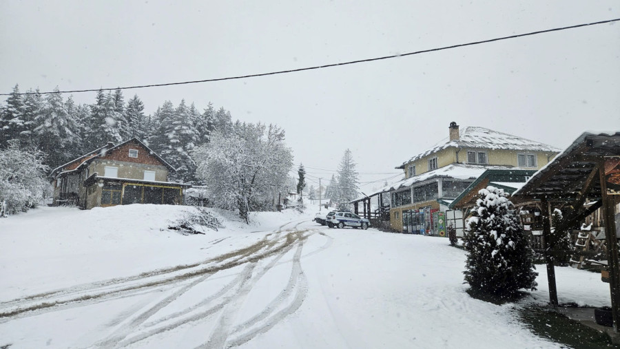 Okovani su: Palo više od 20 centimetara snega FOTO