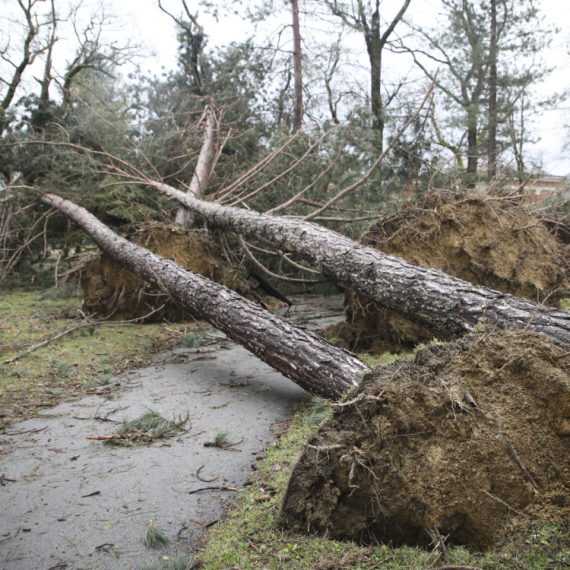 Olujni vetar paralisao grad: Vatrogasci intervenisali skoro 700 puta FOTO