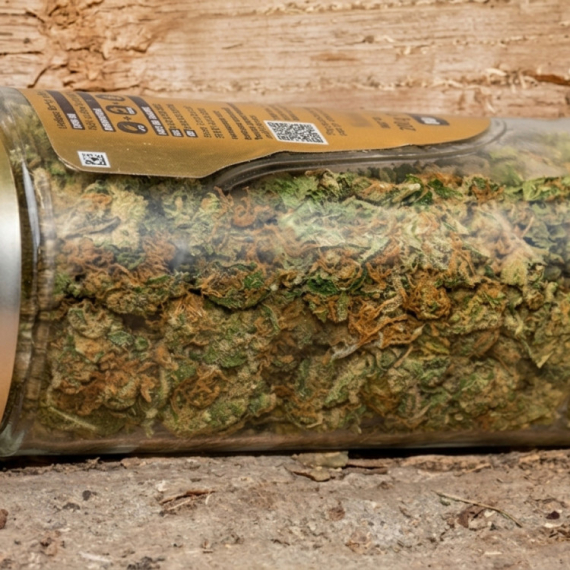 Policija u Šidu zaplenila marihuanu i stare novčiće; Sledi prijava protiv muškarca