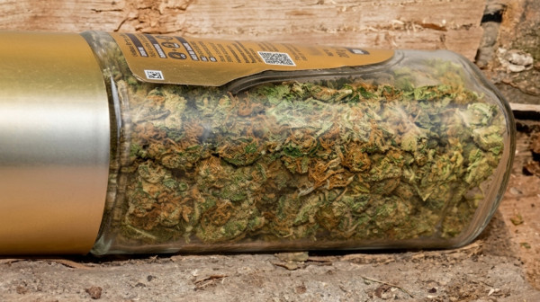 Policija u Šidu zaplenila marihuanu i stare novčiće; Sledi prijava protiv muškarca