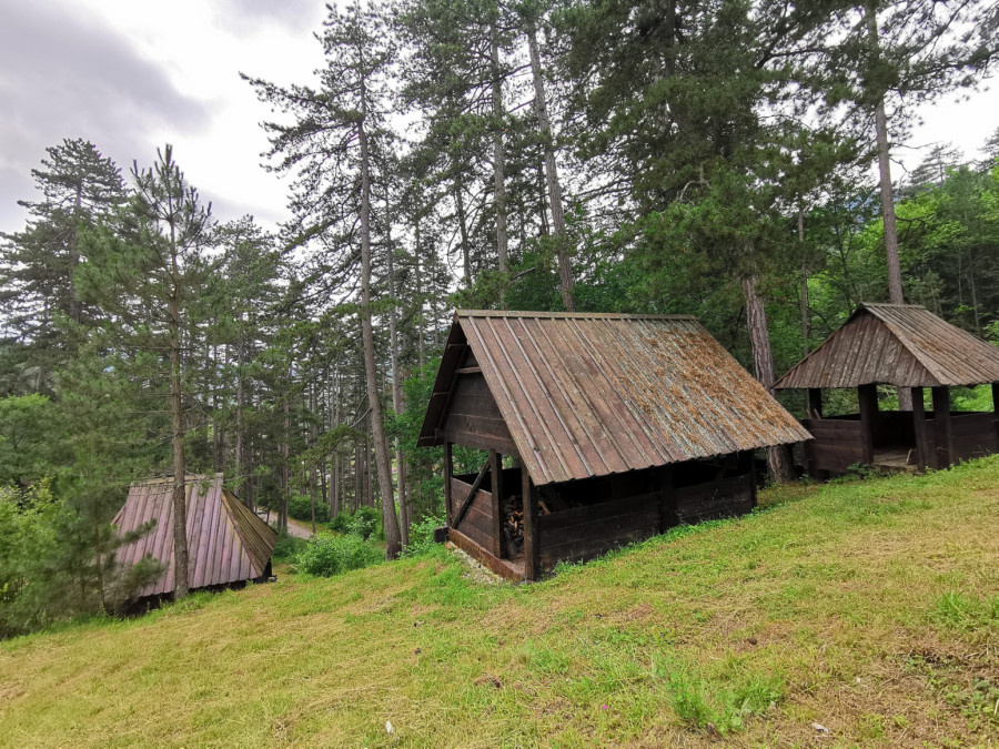 Crkva brvnara na Zlatiboru odoleva vekovima: Netaknuti biser sakriven u borovoj šumi FOTO