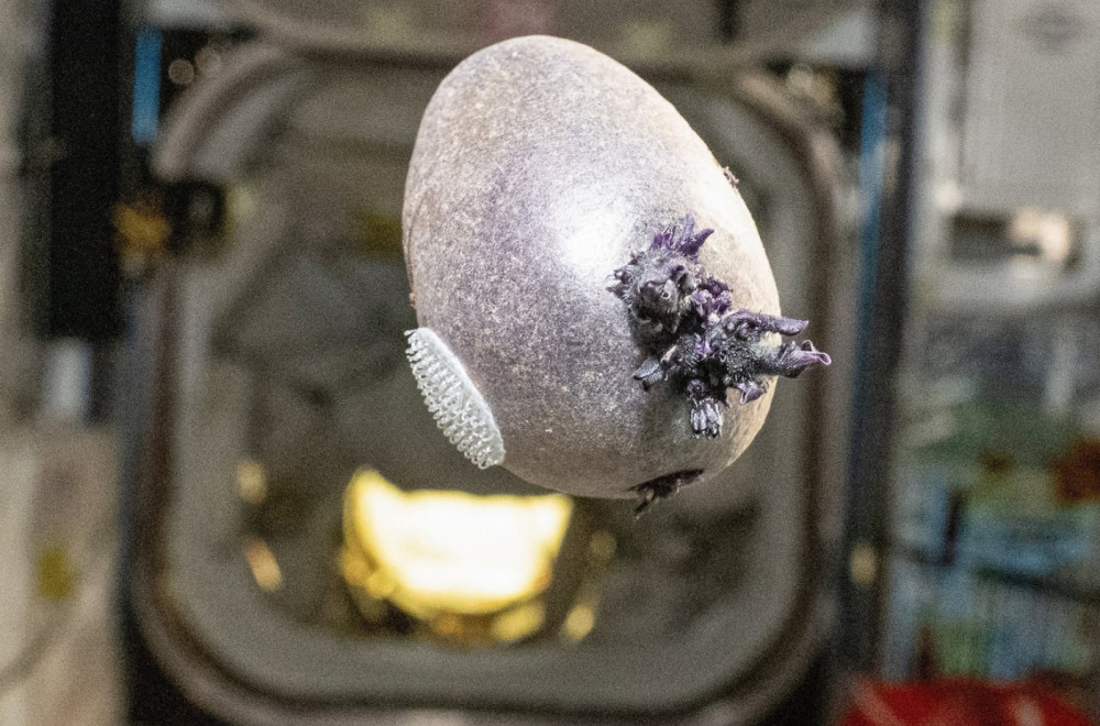 Astronaut podelio bizarne fotografije iz svemira; Društvene mreže se "usijale": "Spalite to!" FOTO