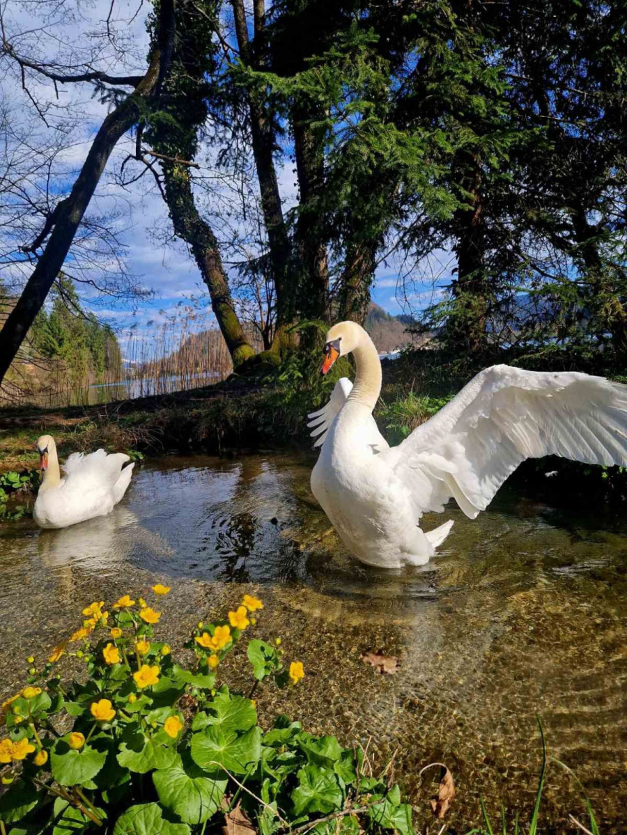 Nepravedno zapostavljena? Ovo postaje vodeća evropska destinacija za malo para VIDEO