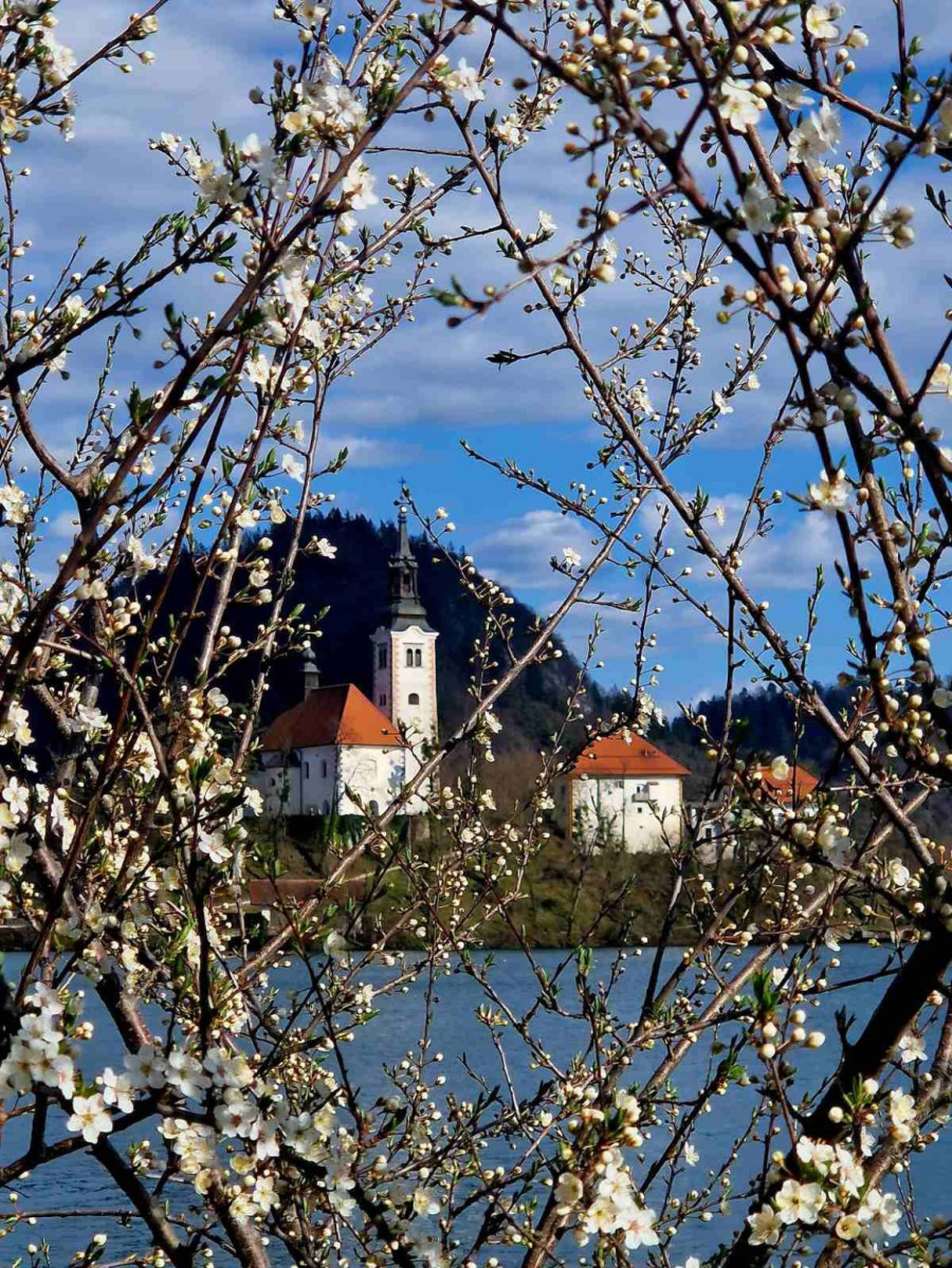 Nepravedno zapostavljena? Ovo postaje vodeća evropska destinacija za malo para VIDEO