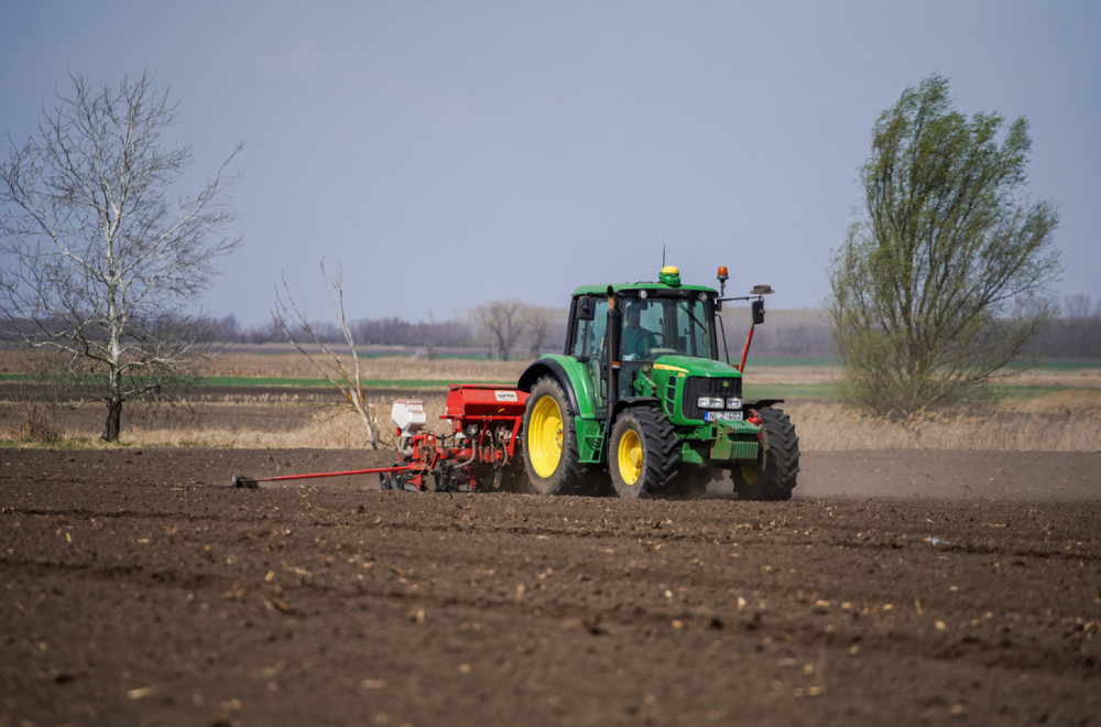 U Zrenjaninu besplatno seme za male proizvođače: Pomoć socijalno ugroženim poljoprivrednicima