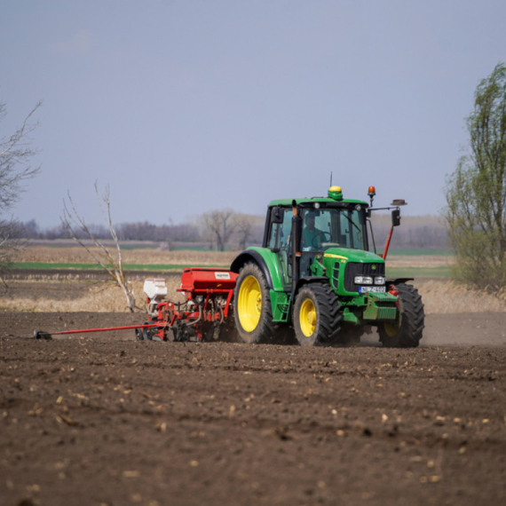 U Zrenjaninu besplatno seme za male proizvođače: Pomoć socijalno ugroženim poljoprivrednicima