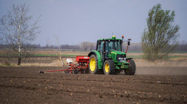 U Zrenjaninu besplatno seme za male proizvođače: Pomoć socijalno ugroženim poljoprivrednicima
