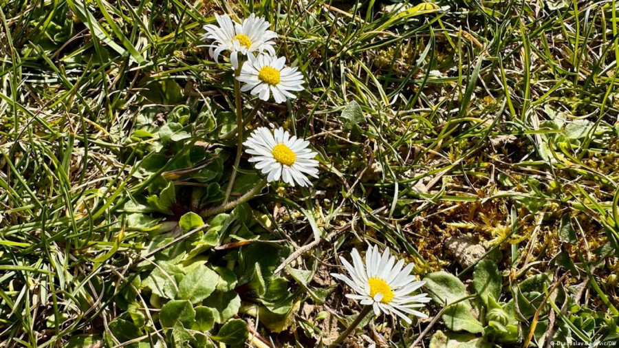 Ispod Nemačke krije se podzemni grad: Putovanje kroz bunker FOTO