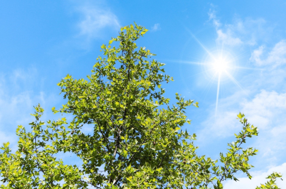 Danas sunce i 22 stepena, a onda sledi obrt