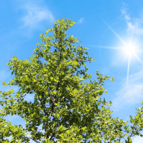 Danas sunce i 22 stepena, a onda sledi obrt