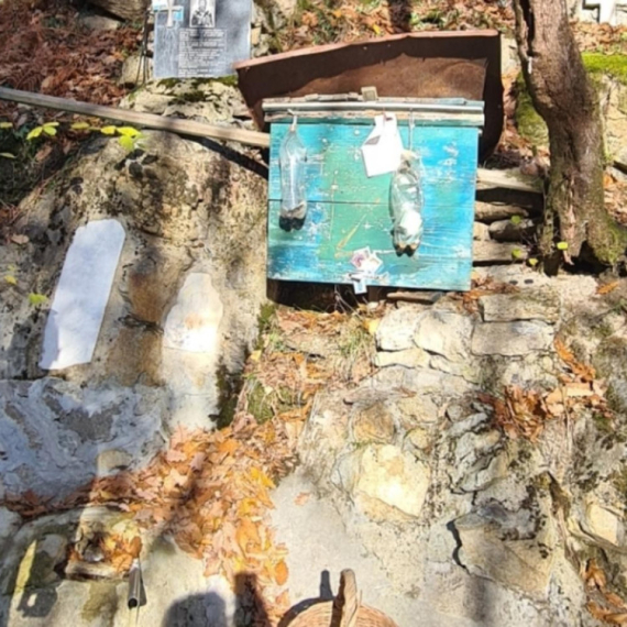 Čudo prirode na srpskoj planini: Lekovita odmenjska voda vekovima protiče sakrivena u šumi FOTO